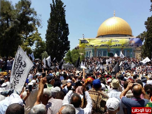 جريدة الراية: تحرير فلسطين قرار سياسي مؤجل